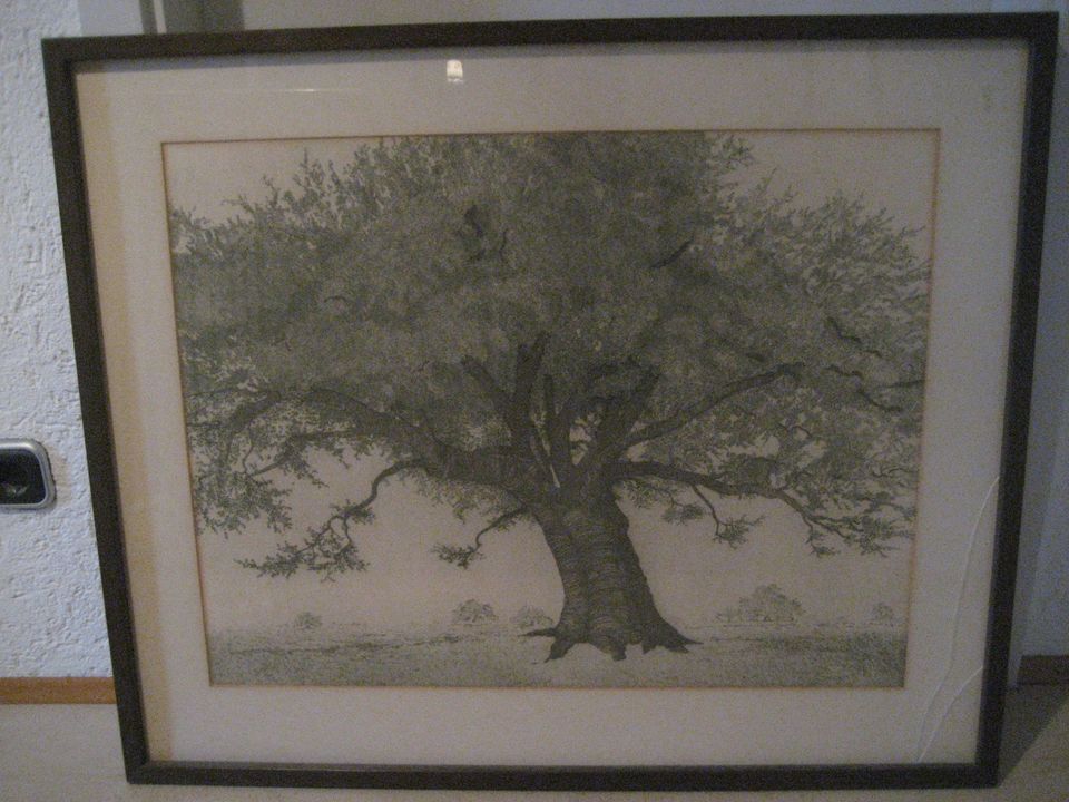 Bild "Baum", schon älter, mit Rahmen 87x73 cm in Erlangen