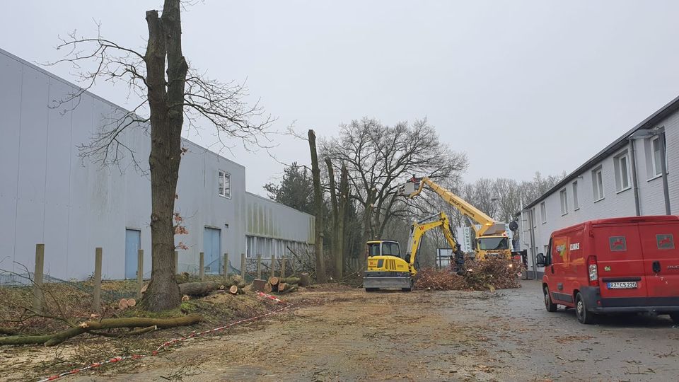 Baumfällung Hubarbeitsbühne in Dassendorf