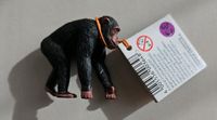 Tiptoi Spielfigur Gorilla Hessen - Einhausen Vorschau