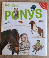 Buch, Bei den Ponys, Esslinger, alles über Ponys Bayern - Selb Vorschau