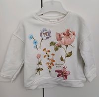 Pullover, Pulli ZARA, Gr. 80 Berlin - Reinickendorf Vorschau