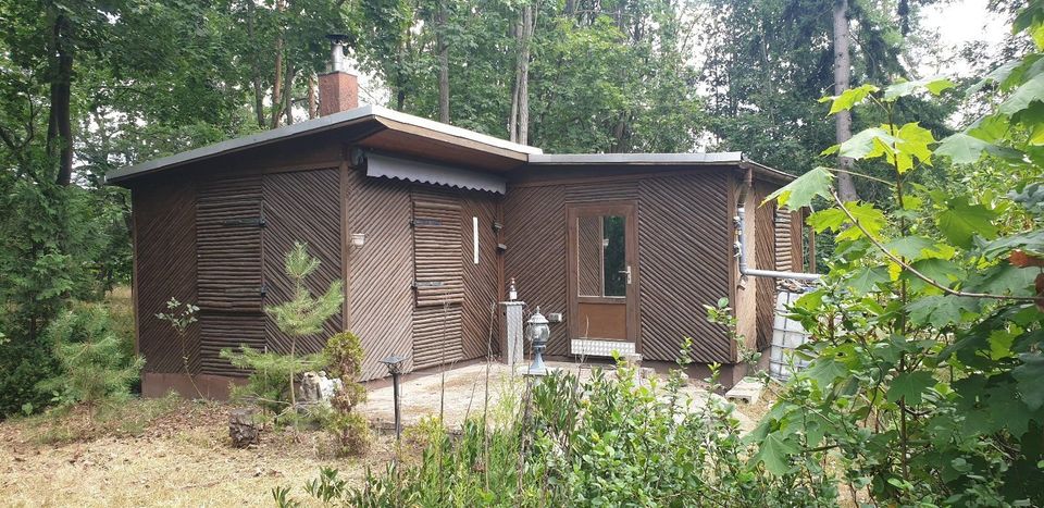 Wochenendhaus / Ferienhaus für Naturliebhaber in Coswig (Anhalt)