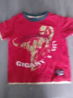 Jungen T-Shirt Dinosaurier Größe 98/104 rot lupilu original Nordrhein-Westfalen - Mönchengladbach Vorschau