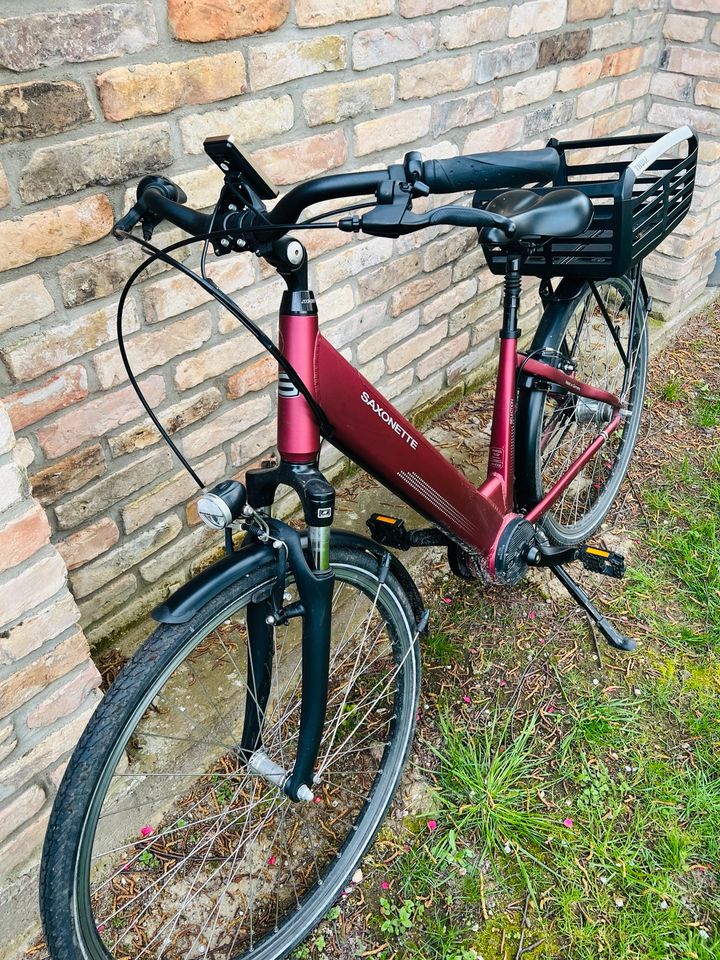 E-Bike Saxonette Selection - Akku wurde vor einem Jahre erneuert in Potsdam