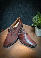 TOP & Neuwertig: Lederschuhe Lloyd Dallin in 43 Bayern - Volkach Vorschau