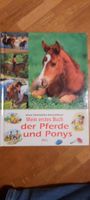 Pferde, Mein erstes Buch der Pferde und Ponys Hessen - Hofheim am Taunus Vorschau