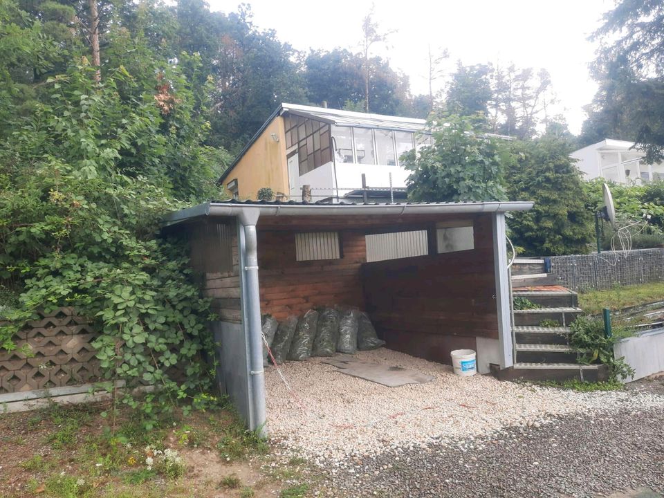 Ferienhaus Bungalow Blankenburg Harz in Blankenburg (Harz)