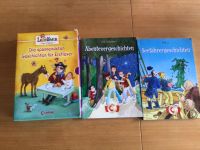 Leselöwen Bücher für Erstleser, Reitergeschichten, Seefahrer… Rheinland-Pfalz - Zerf Vorschau