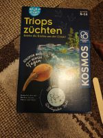 Triops züchten Kosmos Harburg - Hamburg Neuland Vorschau