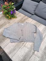 Damen Cardigan Pullover M Hollister Nordrhein-Westfalen - Remscheid Vorschau