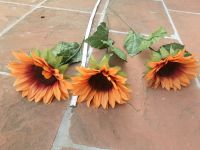 Sonnenblumen Orange 3 Stück Höhe 80cm Bayern - Gersthofen Vorschau