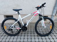 Fahrrad für Damen Jungen MTB Rockeider 340 Weiß 26 Zoll Top Sachsen - Oschatz Vorschau