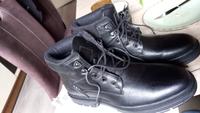 neuwertiger Herrenschuh von AM Shoe Company Saarland - Losheim am See Vorschau