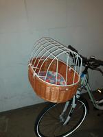 Fahrradkorb für Kleintiere Rheinland-Pfalz - Speyer Vorschau