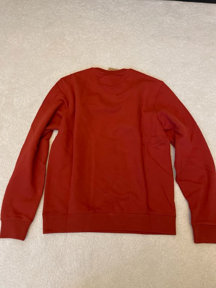 BELSTAFF 1924 SWEATSHIRT RED OCHRE/RED OCHRE in Gelsenkirchen