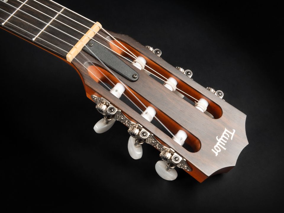 2021 Taylor 214ce-N | Crossover Konzertgitarre Nylon Pickup Cut in Niebüll