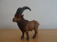 Schleich Wildtier Wald-Tier Steinbock 14235 aus 95 sehr RAR Baden-Württemberg - Rheinfelden (Baden) Vorschau