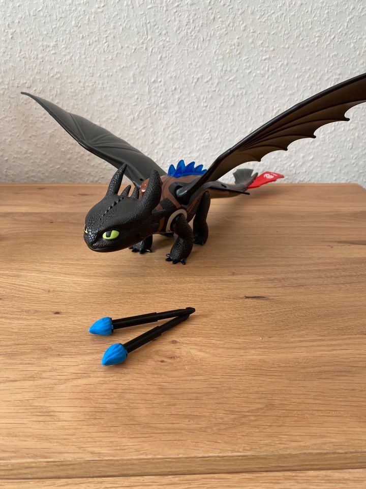 Playmobil Dragons in Zwickau