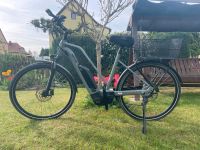 E-Bike Trekking Dresden - Cotta Vorschau