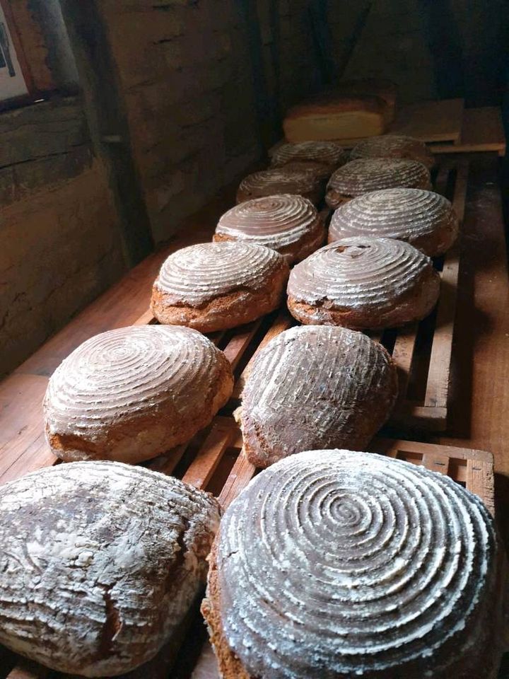 Gemeinsames Brot backen im Holzbackofen  an 2 Tagen in Kördorf