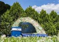 Campingzelt Camouflage grün Zelt Outdoor neu Harburg - Hamburg Eißendorf Vorschau