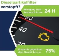 DPF-Reinigung DPF Partikelfilter Dieselpartikelfilterreinigung Baden-Württemberg - Mannheim Vorschau