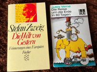 Literatur von gestern, Jules Verne, Stefan Zweig Mecklenburg-Vorpommern - Neu Kaliß Vorschau