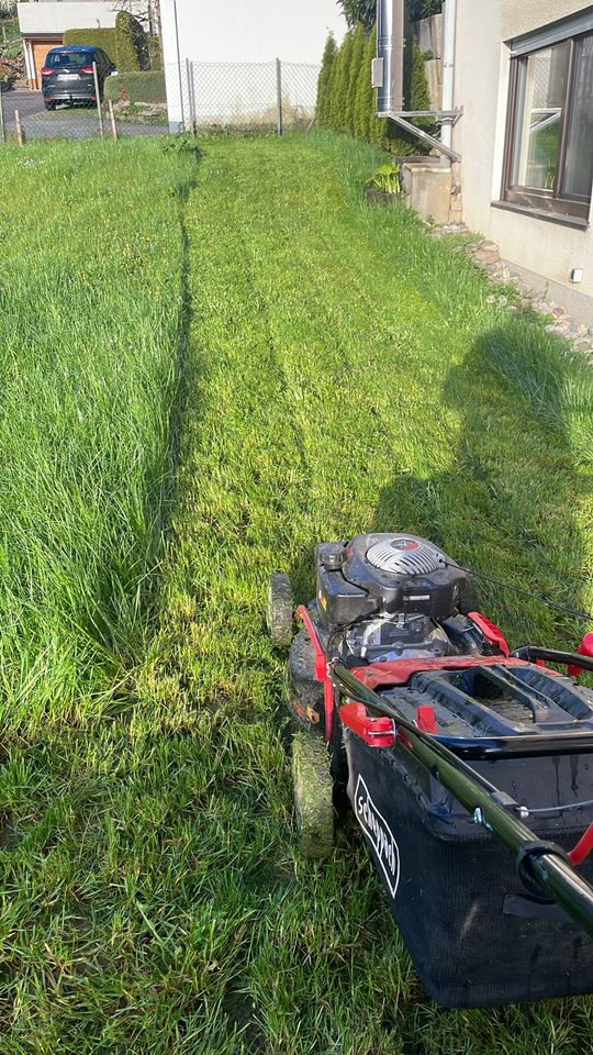 Gartenarbeit| Heckenschnitt|Gartenhilfe|Gartenpflege|Rasenmähen in Langenau