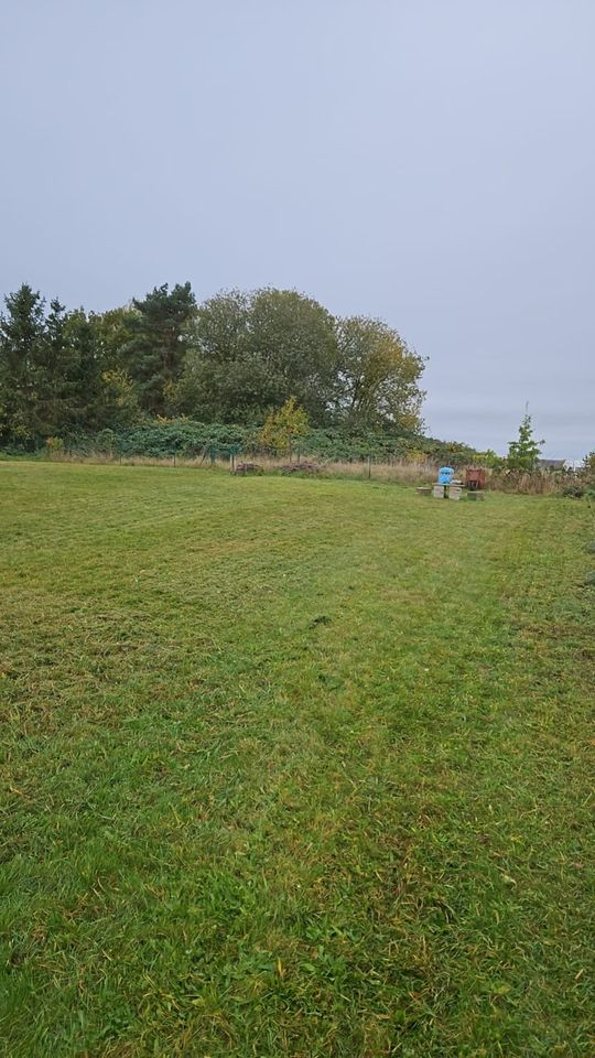 Hecken und Gartenpflege in Alt Meteln