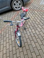 Kinder Mädchen Fahrrad 20 zoll Bayern - Nennslingen Vorschau