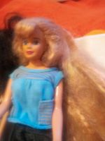 Blonde  Langhaar  BARBIE,bis Wade das Haar Baden-Württemberg - Ravensburg Vorschau