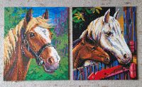 2 Ministeck Bilder, Pferde, 53,5 x 46,5 cm Nordrhein-Westfalen - Viersen Vorschau