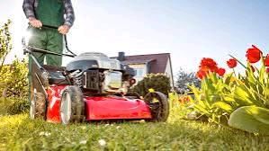 Biete Mäharbeiten und Gartenpflege an in Harzgerode