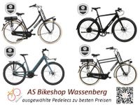 New Brinckers - original e-Transportrad SUV-e-Bike Penderrad Nordrhein-Westfalen - Wegberg Vorschau