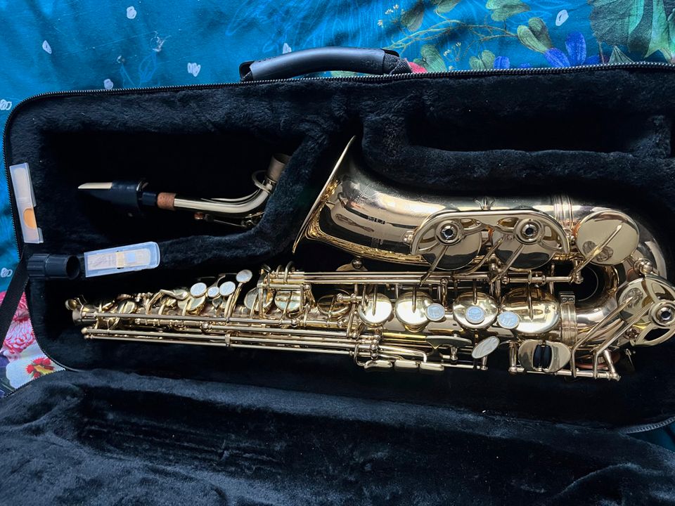 Saxofon Roy Benson AS202;Alto Saxophon Goldfarbe gebrauct in Saarbrücken