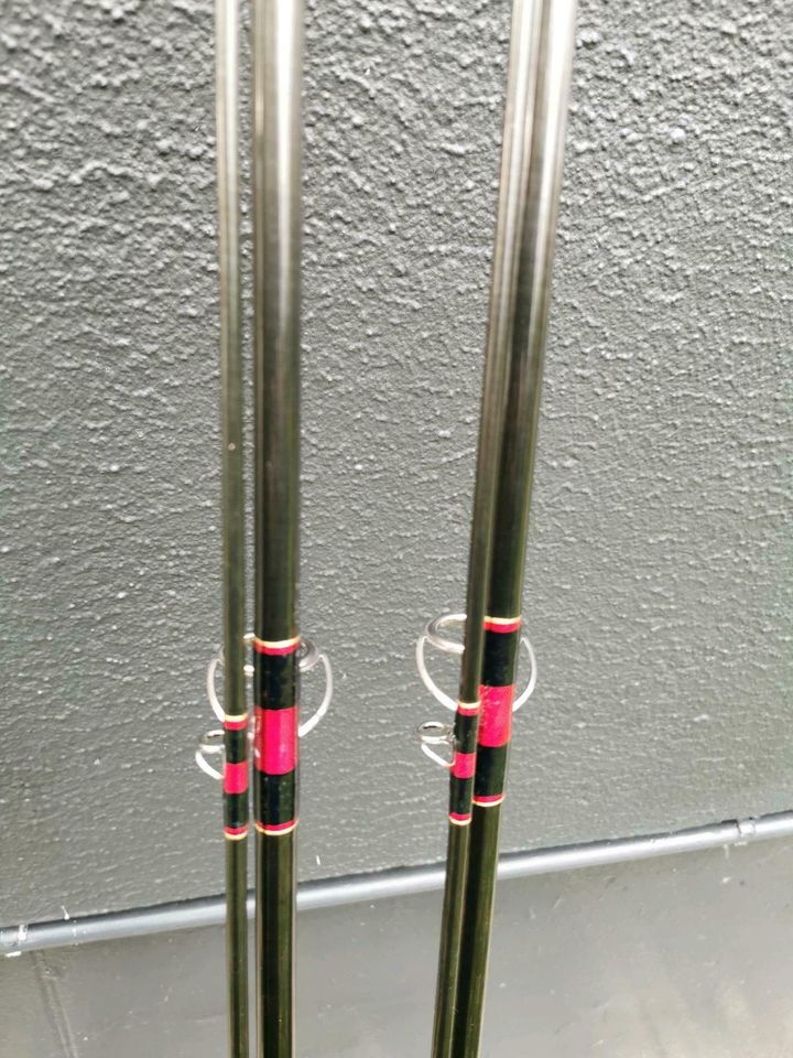 2× Sportex handbuilt Carp Karpfenruten 12ft 3lbs Carp Rods Angeln in Bad Bentheim