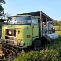 IFA W50 Fortschritt Brandenburg - Bad Liebenwerda Vorschau