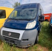 Fiat Ducato Bus Schlachtfest Sachsen - Kodersdorf Vorschau