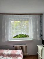 Vorhang (Tüll) fürs Küchenfenster Wandsbek - Hamburg Rahlstedt Vorschau