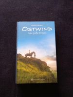 Lea Schmidtbauer Ostwind Buch: Der große Orkan Dortmund - Benninghofen Vorschau