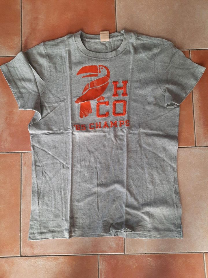 Set 4x Hollister T-Shirt + Hemd + Pullover Gr. M L in Bersteland