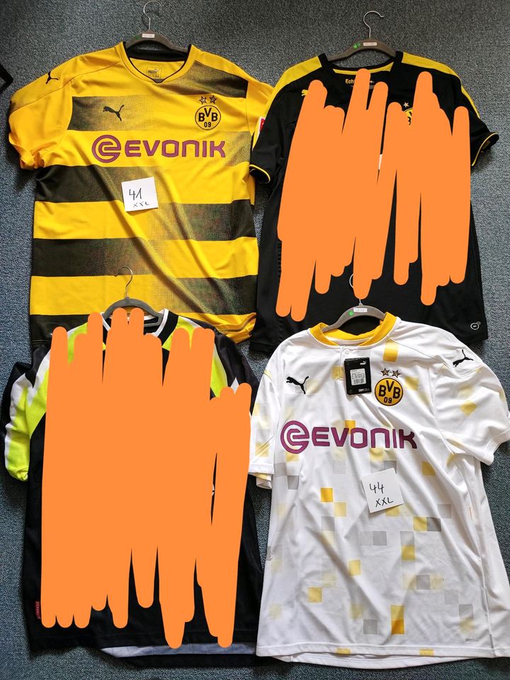 BVB BORUSSIA DORTMUND SAMMLERAUIFLÖSUNG TRIKOT XXL-3XL in Heinbockel