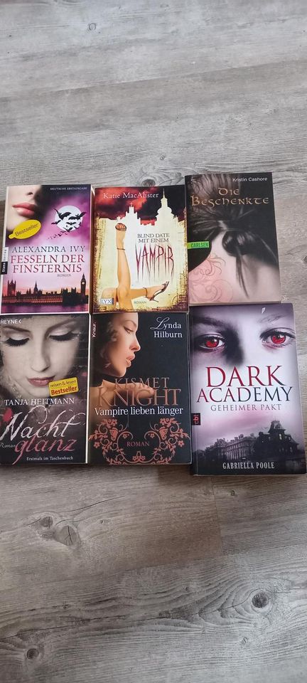 Diverse Vampirromane Fantasy Romane in Gauerbach