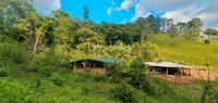 Costa Rica Permakultur Finca 26 Hektar Wandsbek - Hamburg Bramfeld Vorschau