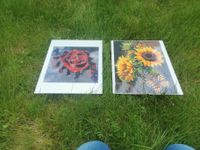 2 Diamond Painting Bilder Rose, Sonnenblumen Sachsen-Anhalt - Gerwisch Vorschau