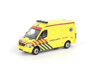 Suchen WSI AMBULANCE MERCEDES SPRINTER 04-1049 Bayern - Regensburg Vorschau