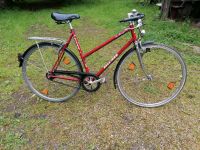 Sport Rad Damen cruiser Oldtimer Nordrhein-Westfalen - Detmold Vorschau