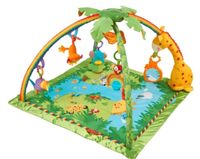 Baby Spielebogen Jungle Fisher-Price Sachsen - Schmölln Vorschau