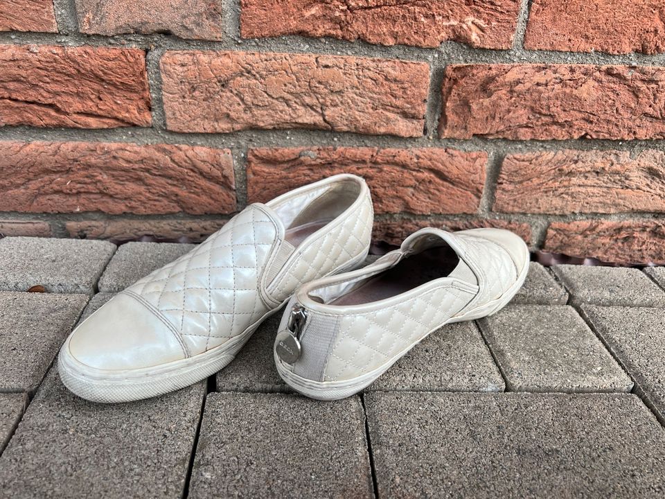 sehr coole Schuhe von Geox 38 in Hennef (Sieg)