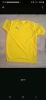 t shirt für Sport und Freizeit Rheinland-Pfalz - Kuhardt Vorschau
